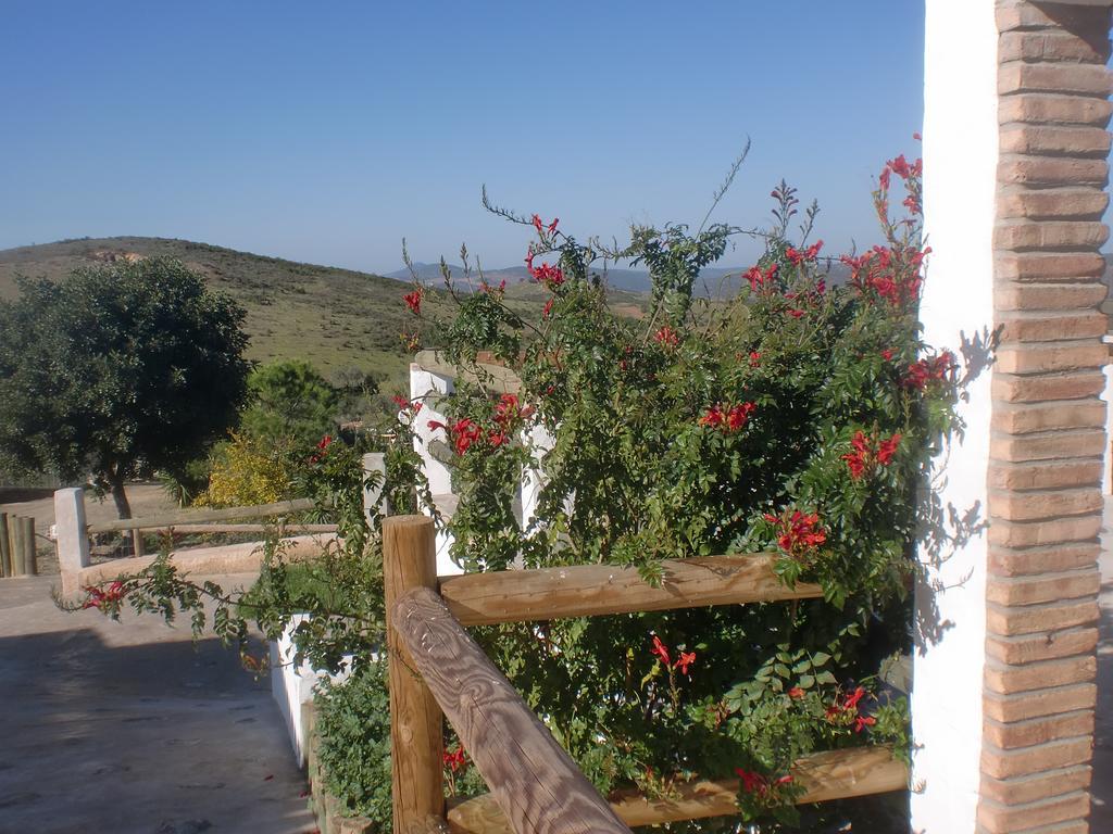 Horta Da Quinta Vendégház Mértola Kültér fotó